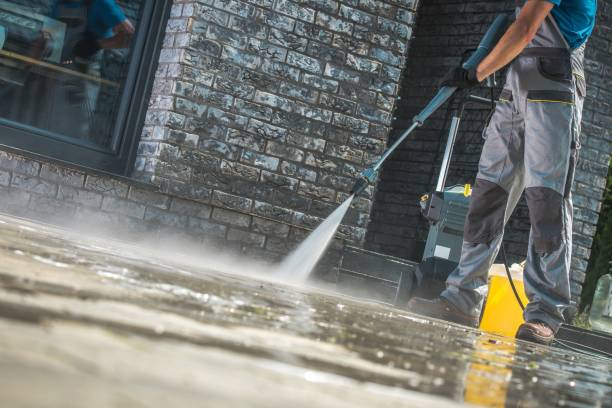 Best Animal Enclosure Cleaning  in Perry, FL