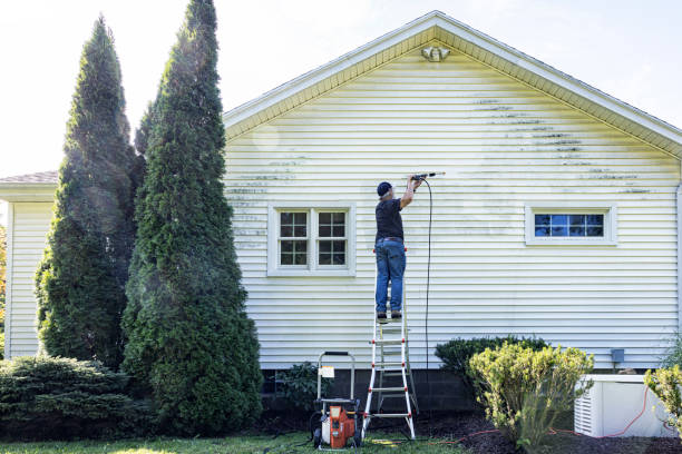Best Fence Cleaning  in Perry, FL