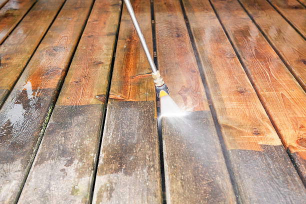 Best Sidewalk and Walkway Cleaning  in Perry, FL