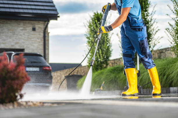 Animal Enclosure Cleaning in Perry, FL